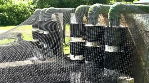 Fish hatchery filtration system Stock Footage 12185914