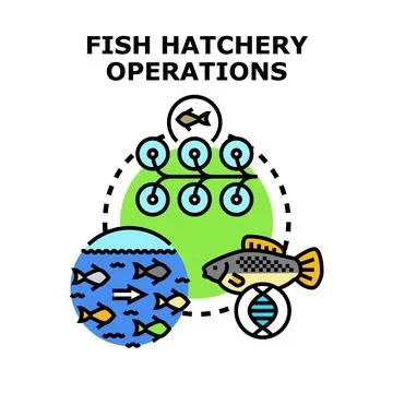 Fish hatchery operations producing aquaculture seafood Stock Illustration