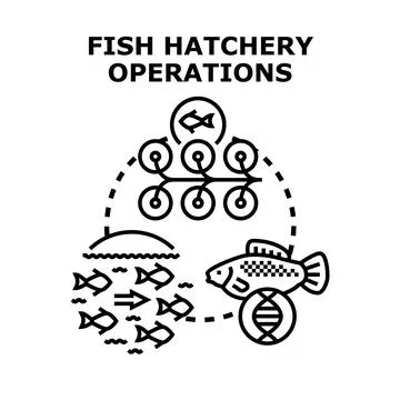 Fish hatchery operations producing aquaculture seafood Stock Illustration