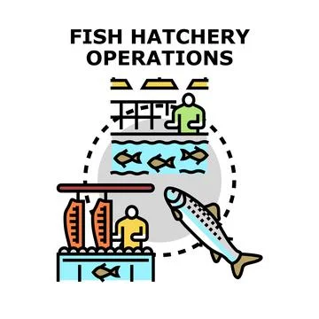 Fish hatchery operations vector concept illustration Stock Illustration