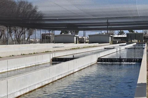 Fish Hatchery Stock Photos