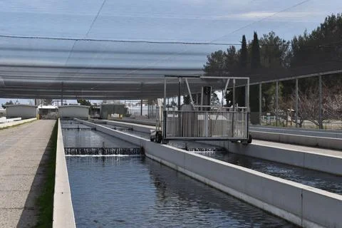 Fish Hatchery Stock Photos