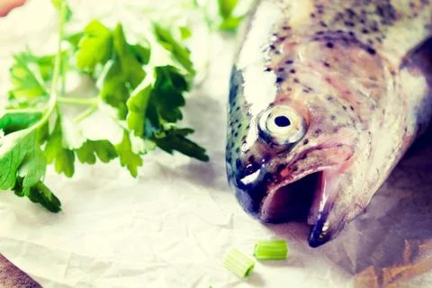 Fish head Foto stock