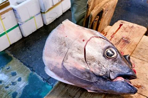A fish head is placed on a wooden table at the fish market in Tokyo Stock Photos