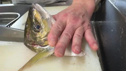 Fish Head Split in Half with a Knife (Kabuto-Wari, Shima Aji), Japanese Food Stock Footage 345043007