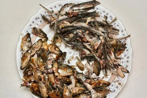 Fish heads and bones left after eating on a plate. Stock Photos