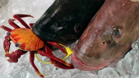 Fish heads on Ice Video stock 45934886