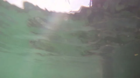 Fish: Hitting Top Water Stock Footage 882759