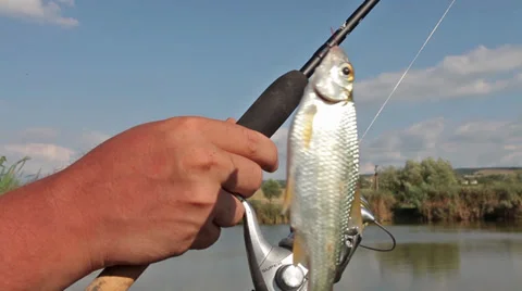 Fish on the hook 動画素材 29620634