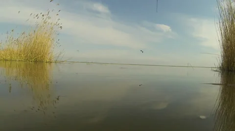 Fish on the hook Stock Footage 36787390