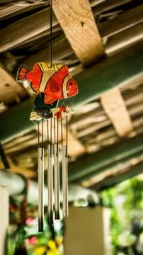 Fish hooked to sound with the breeze. Stock Photos