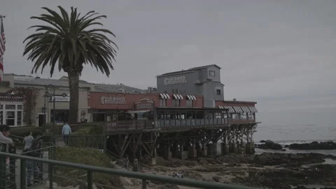 Fish Hopper Stock Footage 134421764