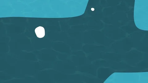 Fish Hunt Fish Stock Footage 72450444