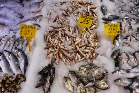 Fish on Ice in Shop Stock Photos