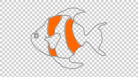 Fish icon Line Drawing Animation Transparent Background Vector Motion Graphics Stock Footage 44639492