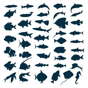 5,100+ Stockfish Stock Photos, Pictures & Royalty-Free Images