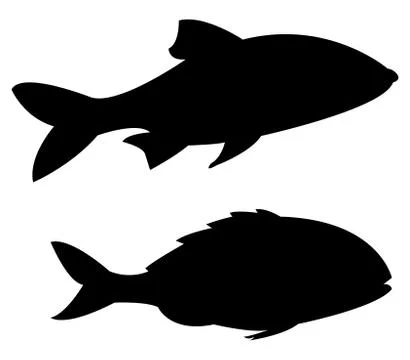 Fish icon on white background Stock Illustration
