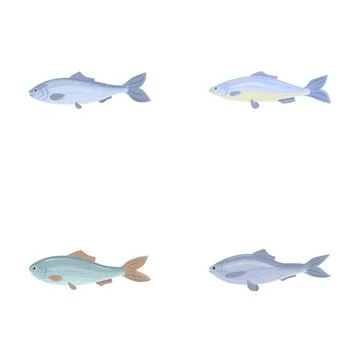 Fish icons set cartoon vector. Fresh raw edible cartoon fish 스톡 일러스트