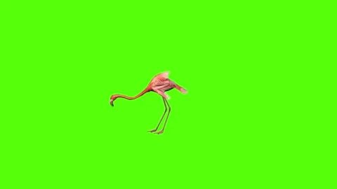 Fish Idle Green Screen Animation 4K Rendering Stock Footage 281392464