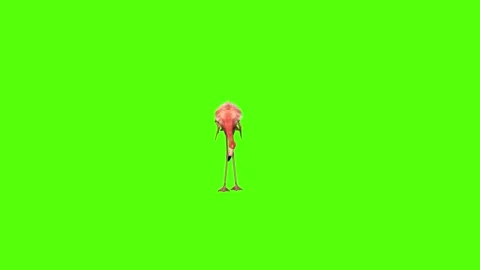 Fish Idle Green Screen Animation 4K Rendering Видео 281392465