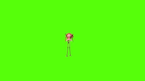 Fish Idle Green Screen Animation 4K Rendering Vidéo 281392466