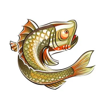 Fish Stock Illustration