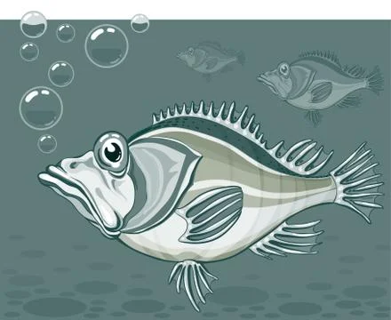 Fish Stock-Illustration