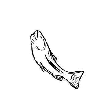 Fish Stock Illustration