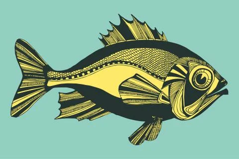 Fish Stock Illustration
