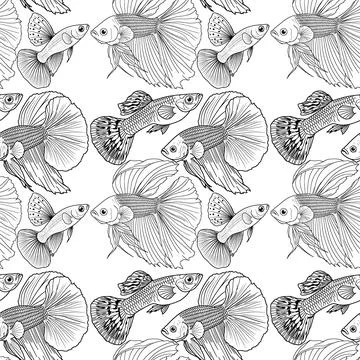 Fish Stock-Illustration