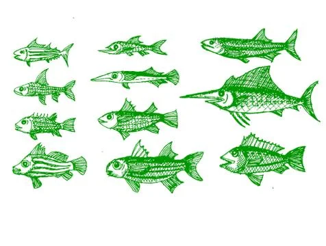 Fish in  Illustration Stock Illustration