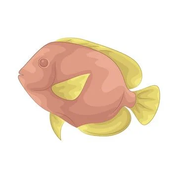 Fish illustration Illustration