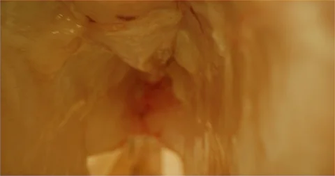 Fish inside, cutting fish macro shot Stock Footage 126288509