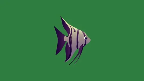 A fish isolated isolated on green screen background Stock Footage 336890115
