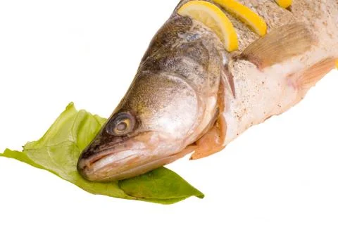 Fish isolated Stock Photos
