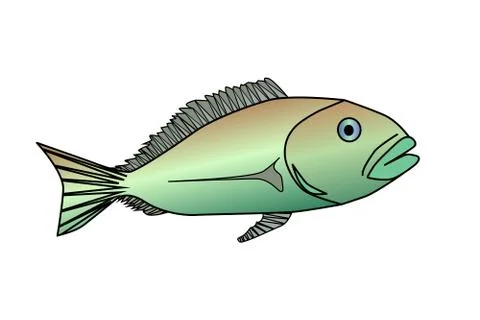 Fish isolated on white background Stock Illustration