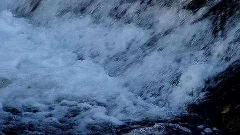 Fish jump up the stream Stock Footage 83846159