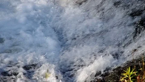 Fish jump up the stream Stock Footage 83846275