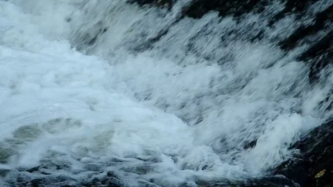 Fish jump up the stream Stock Footage 84689526