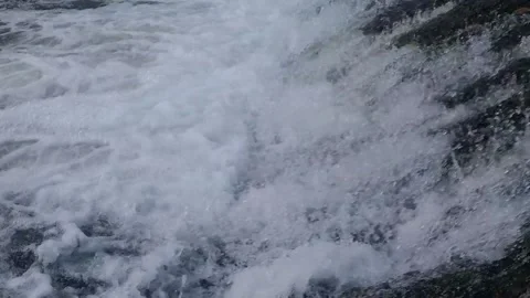 Fish jump up the stream Stock Footage 147616537