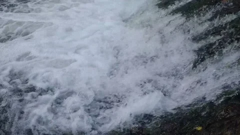 Fish jump up the stream Stock Footage 147617181