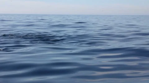 Fish jumping 1 Stock Footage 7755199