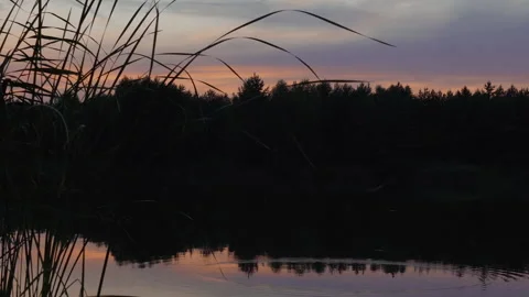 Fish Jumping Above Water Surface at Sunset on Tranquil Lake 스톡 동영상 324961920