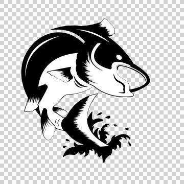Fish Jumping In Black Silhouette Style water splash white イラスト素材