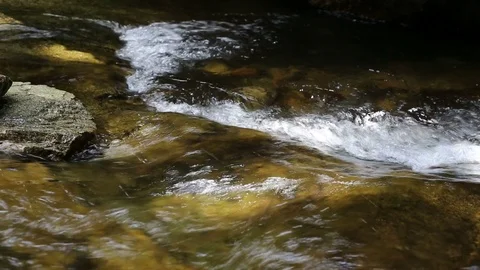 Fish Jumping up Khao Chamao waterfall Video stock 101049496