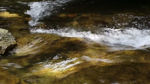 Fish Jumping up Khao Chamao waterfall Video stock 101049506