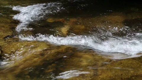 Fish Jumping up Khao Chamao waterfall Video stock 101049511