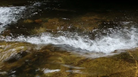 Fish Jumping up Khao Chamao waterfall Video stock 101049651