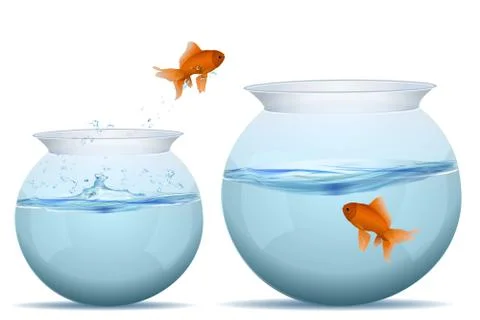 Fish jumping from one tank to another Stock-Illustration