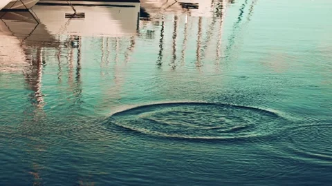 A fish jumping out of the water, creating splashes and ripples, with reflections Vídeos de archivo 322961881